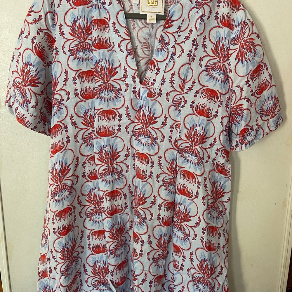 Floral V-Neck Mini Dress - Red and Blue